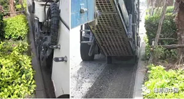 1589868890523529.jpg 640.webp (4).jpg